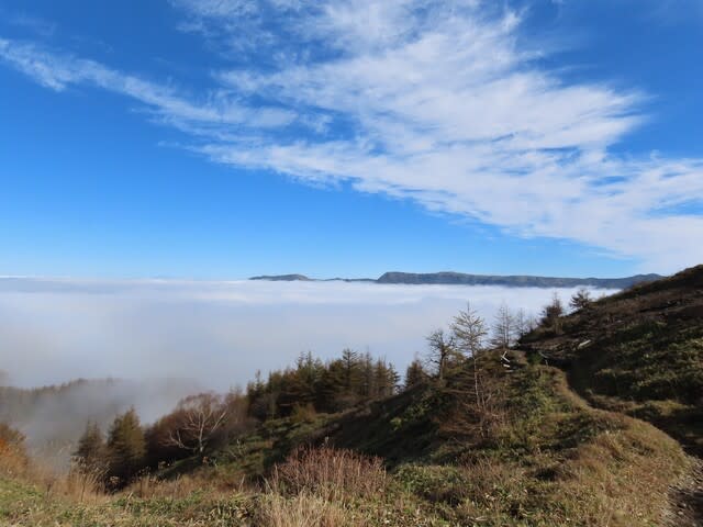 鉢伏山で見た雲海　2024/10/25