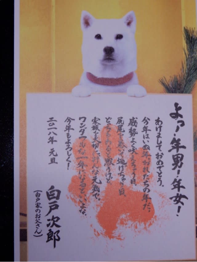 ソフトバンクのお父さん犬から年賀状がキター 函館深信 はこだてしんしん Communication From Hakodate