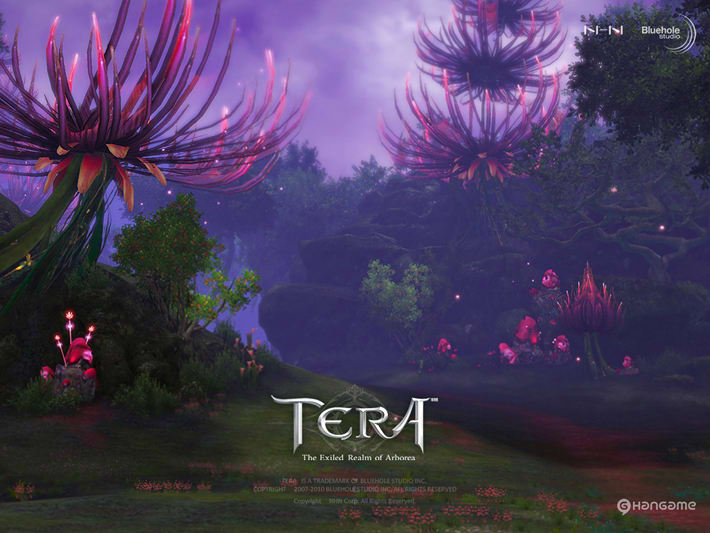 Korean Official Site Tera Herald のブログ記事一覧 The Exiled Realm Of Arborea Tera 自分メモ