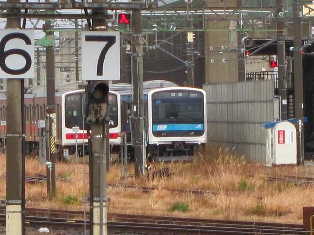 イメージ 8