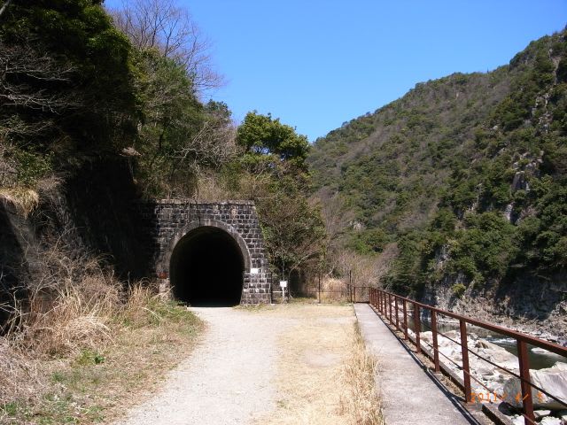 東原 亜希|株式会社プラチナム ...