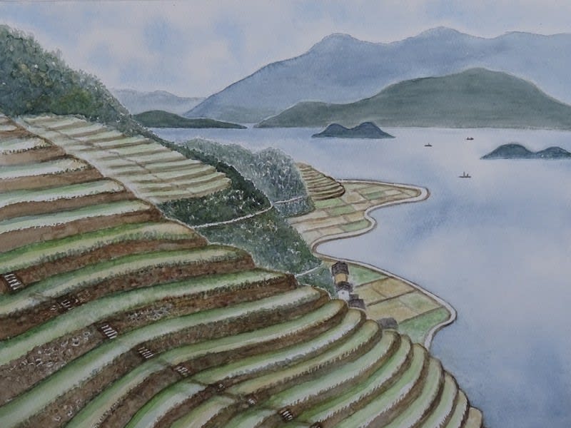 宇和海を行く 遊子水荷浦の段畑 ゆすみずがうらのだんばた 悠太郎の水彩画 ぶらり旅 宇和海を行く 遊子水荷浦の段畑 ゆすみずがうらのだんばた 悠太郎の水彩画 ぶらり旅