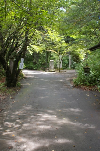 長野県中野市 赤岩谷厳寺のシダレザクラです ビーズうさぎのハナちゃんです