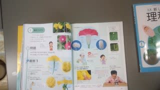 5年生理科 花から実へ 花のつくり 豊川北小学校