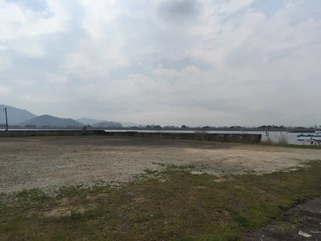 イメージ 12