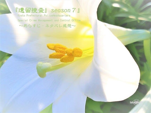 『遺留捜査 season7』あらすじ・ネタバレ感想　tataraworks　百合の画像