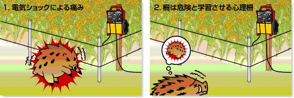 獣害防止電気柵 ゲッターシステム（イノシシ、鹿、熊、狸、猿他