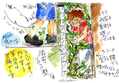 草抜き 蚊の話 あんな事こんな事あったもん