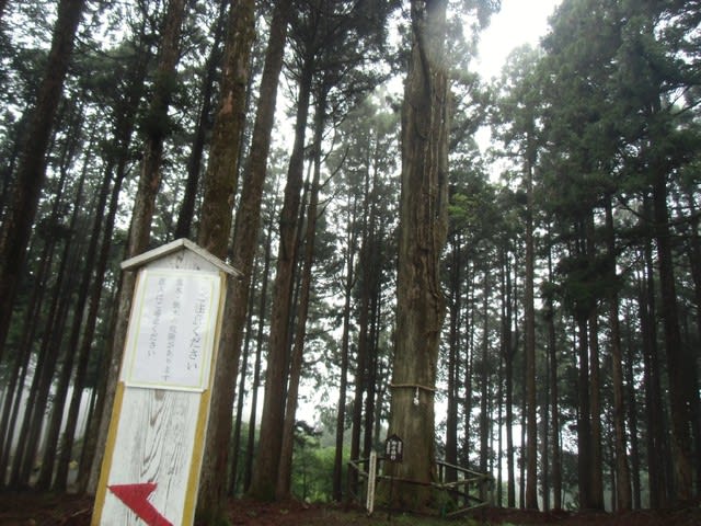 奥之院思親閣 身延町身延 日蓮聖人のご霊跡めぐり