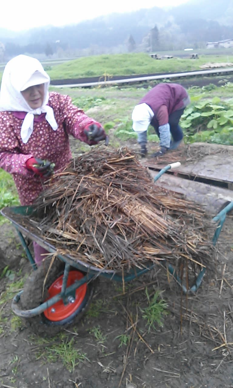 秋田 森のテラス 畑作りは土作りから 森のテラス 番人日記