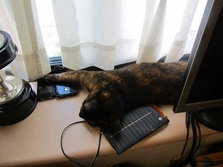 イメージ 5