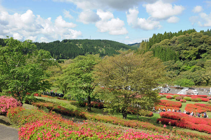 椎八重公園の八重桜とツツジが見頃でした 15 04 11 宮崎県三股町 花浄土鹿児島