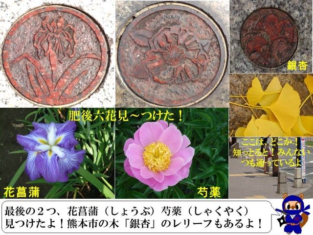 切手 フレーム 熊本城と肥後六花 熊本城築城400年祭 熊本城 肥後椿 肥後芍薬 肥後花菖蒲 肥後朝顔 肥後菊 肥後山茶花 80円 10枚 送1 予約販売品 切手 フレーム 熊本城と肥後六花 熊本城築城400年祭 熊本城 肥後椿 肥後芍薬 肥後花菖蒲 肥後朝顔 肥後菊 肥後山茶花 80円 10枚 送1 予約販売品