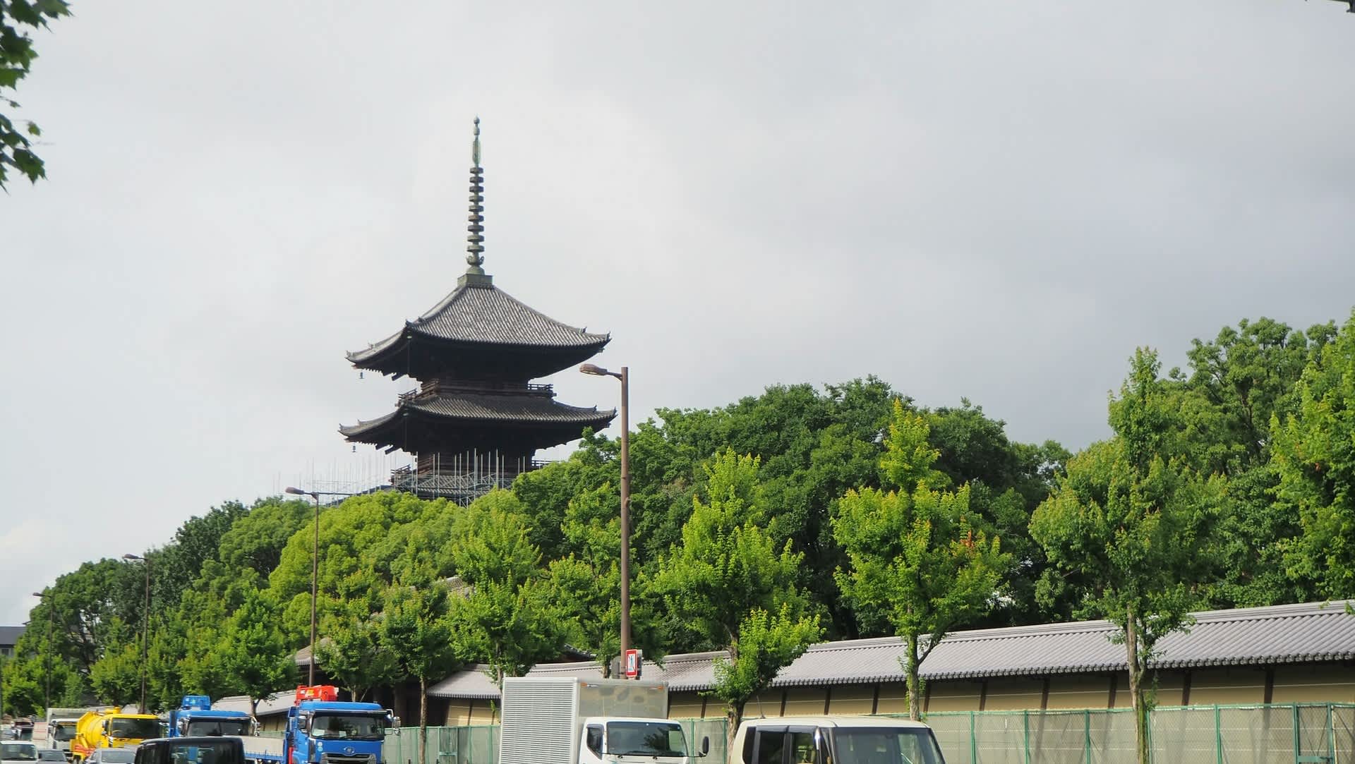 東寺の蓮が見頃 京都で定年後生活 東寺の蓮が見頃 京都で定年後生活