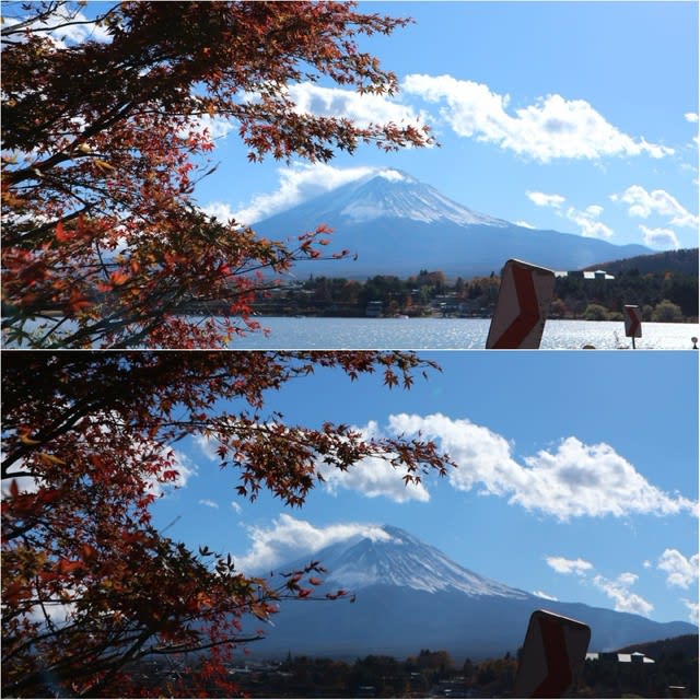 もみじ 山梨県富士河口湖町 18 夢山荘跡地 花を探して ぶらり 一人旅