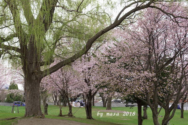 DSC01095.JPG