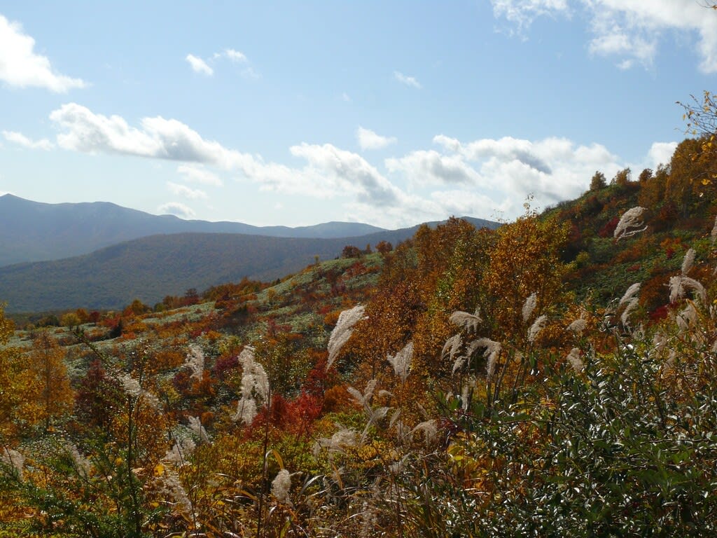 アスピーテライン 10 13 紅葉スポット2 みちのくの山野草