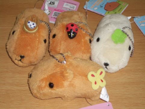 とるとるカピバラさんぬいぐるみ のんびり生活 ぬいぐるみとともに とるとるカピバラさんぬいぐるみ のんびり生活 ぬいぐるみとともに