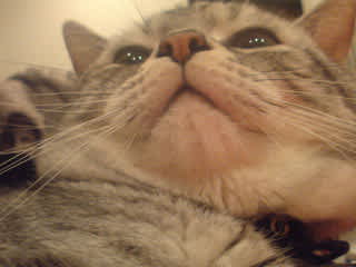 ぬおー Gooブログはじめました