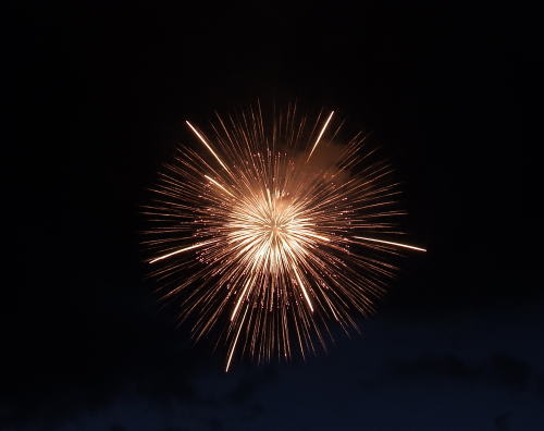 ２０１５年諏訪湖祭湖上花火大会で見た花火（5）　単発花火