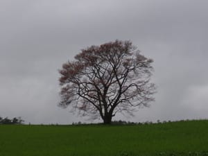 P5020140 P5020140