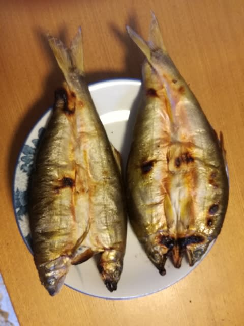 珍味 鮎のうるか味噌 Outdoor Life By Mizota