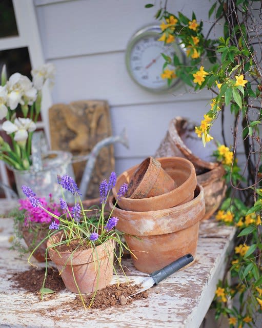 Gardening2 Gardening2