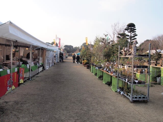 合志市ｊａ春の植木まつり会場 農業公園 熊本から気ままに山と自転車のブログ