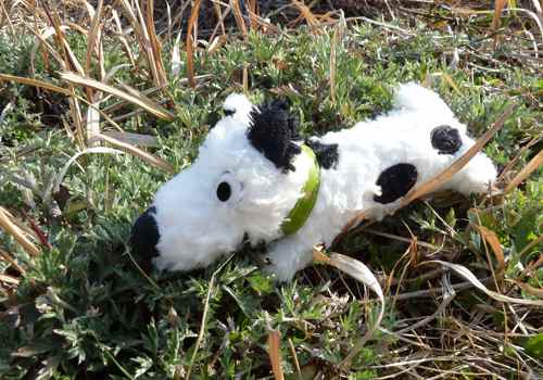 どろんこハリー Teddy Bear S Diary