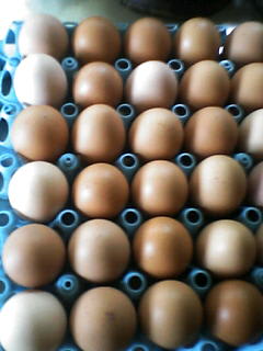 卵を６０個♪
