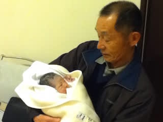 ３４週ならかなり安心 タマルさんはナツメヤシ