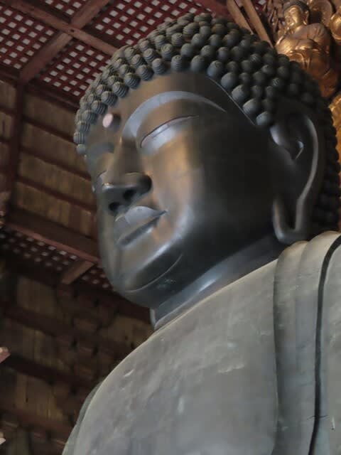 奈良の旅2023年6月　東大寺大仏殿