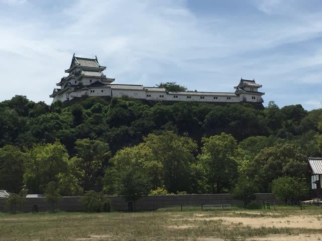 和歌山城 さぶりんブログ 和歌山城 さぶりんブログ