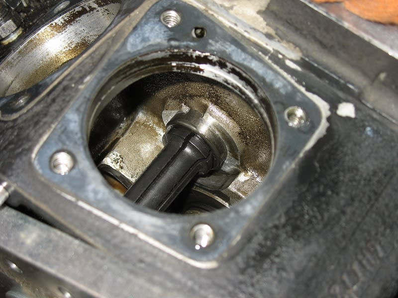 Simg_0145_1 Simg_0145_1