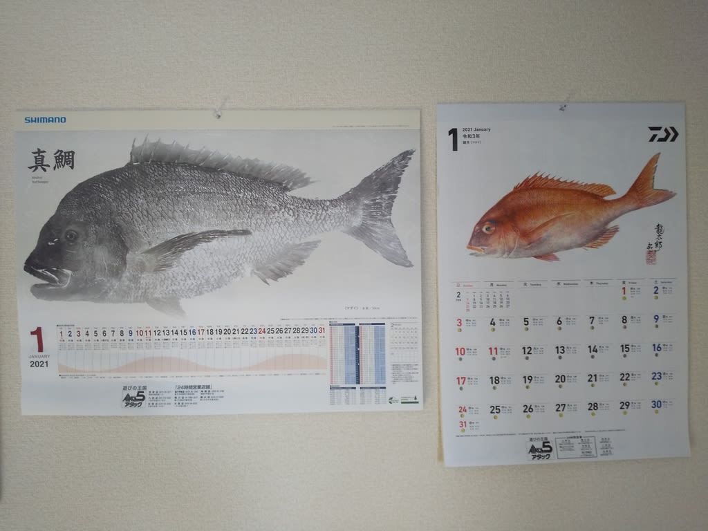 真冬のシロギス調査 富浦 船形 沖ノ島 tossyの投げ釣り釣行レポート 夢で爆釣 真冬のシロギス調査 富浦 船形 沖ノ島 tossyの投げ釣り釣行レポート 夢で爆釣