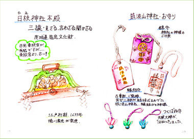 筑波山神社 三猿 お土産 おさんぽスケッチ にじいろアトリエ 水彩 色鉛筆イラスト スケッチ