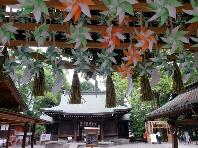 川越氷川神社 風車7 22 猫 桜 自然 発煙筒 祭り 時々御酒と独り言