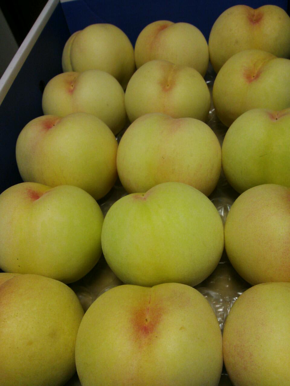 20130724_224658.jpg