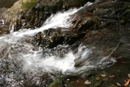 源流の渓で釣れた一匹 雷神の峪 九州脊梁山地 ヤマメ幻釣譚 63 森の空想ブログ