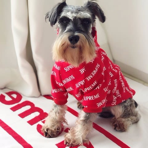韓国 偽物 ブランド シュプリーム 犬の服 安価 ペットヴェア 猫の服 防寒 ファッション 日記