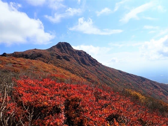 紅葉真っ盛りの大船山に登る 行雲流水 季節の花とともに