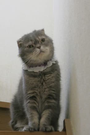 538