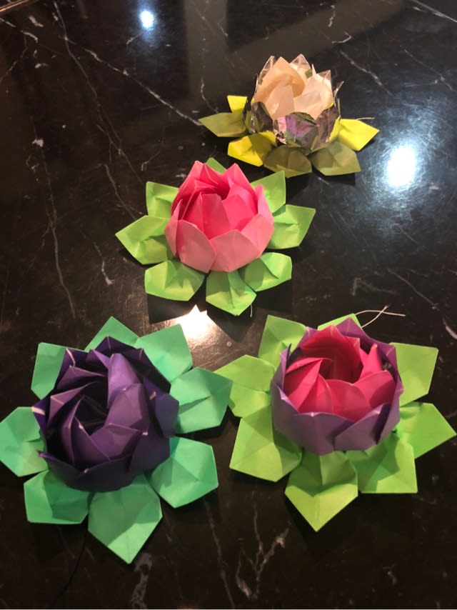 折り紙で蓮の花 ハマった Steel Pan 珠 たまき