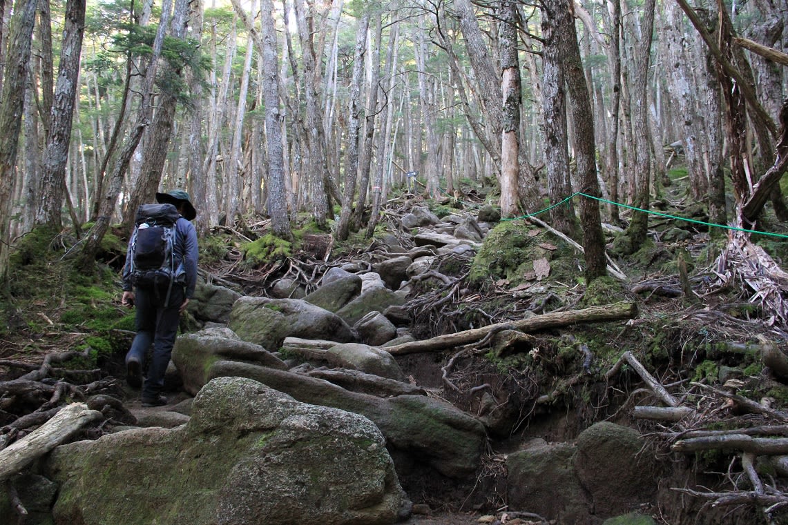 北八ヶ岳 白駒池 にゅう 高見石 周回 カワjoh的のんびり行こうぜ