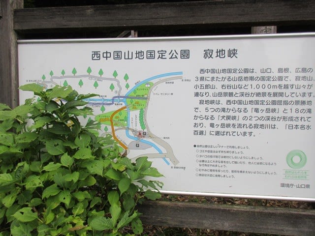 寂地山登山行 タナタカさんの山と絵便り 寂地山登山行 タナタカさんの山と絵便り