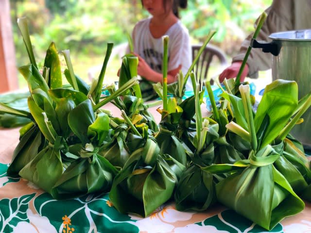 ハワイの伝統料理 タロイモ カロ に魅せられて ハワイ旅行記 宮城自然農園 ブログ Gian S Organic Farm Blog 小笠原諸島 母島で自然農