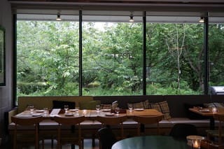 ミモロのおすすめランチ 京都府立植物園に隣接するガーデンダイニング In The Green ネコのミモロのjapan Travel ｍｉｍｏｒｏ ｔｈｅ ｃａｔ Japan Travel