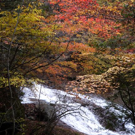 横谷峡の紅葉狩り 季節の変化