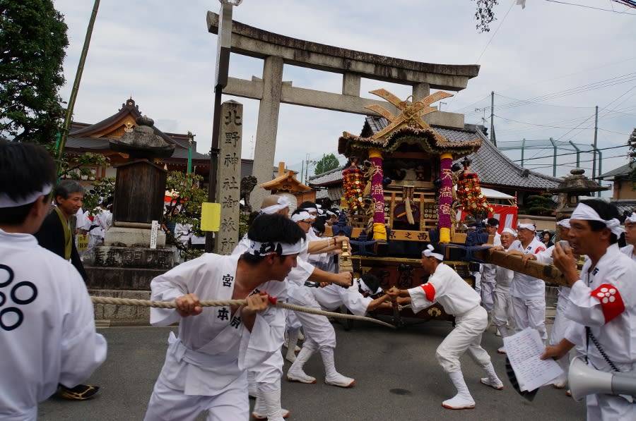 信頼-て 瑞啓作 北野神社「ずいき•祭り•」 - lyceemaputo.org