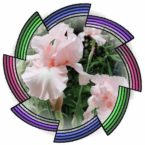 回れ回れ風車 ぺんぺん草の庭から